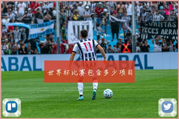 世界杯比赛包含多少项目